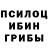 Галлюциногенные грибы MAGIC MUSHROOMS Roman QWWER