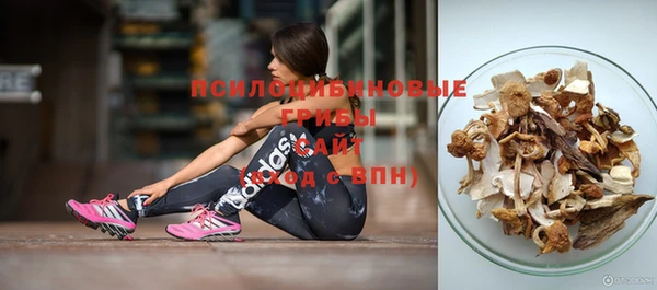 apvp Алзамай