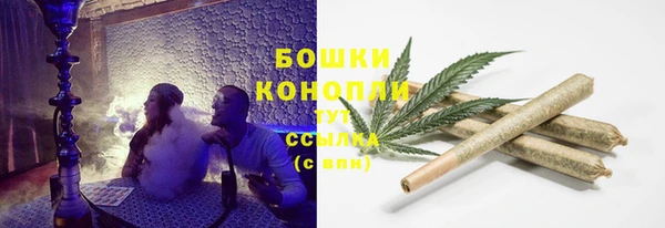 шишки Алексин