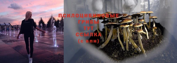 шишки Алексин