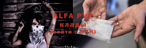 шишки Алексин