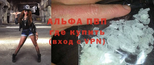 гидра Алексеевка