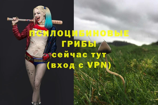 шишки Алексин