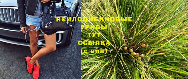 apvp Алзамай