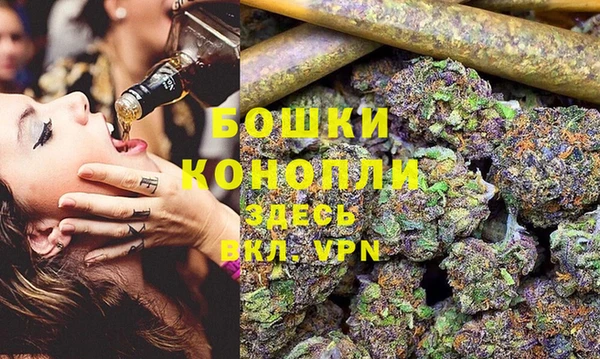 шишки Алексин