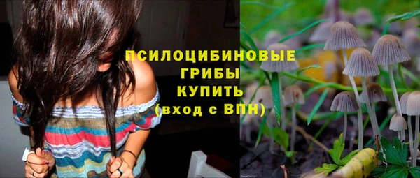 гидра Алексеевка