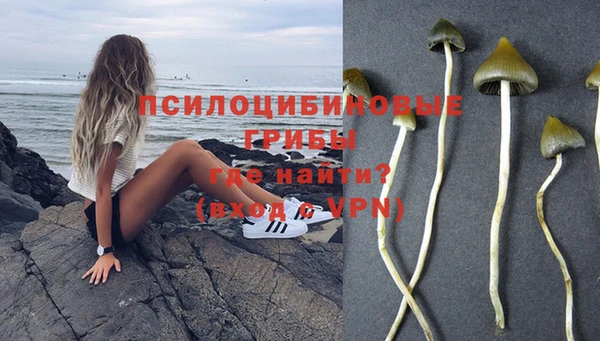 гидра Алексеевка